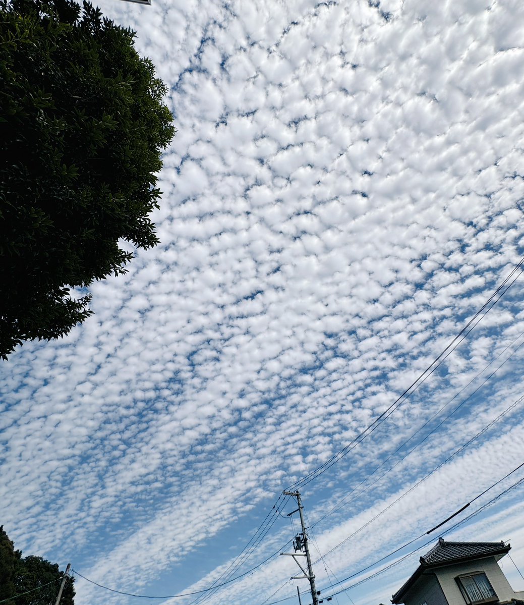 donkodonko3's tweet photo. かわいい雲 https://t.co/V3OnUFf2YO