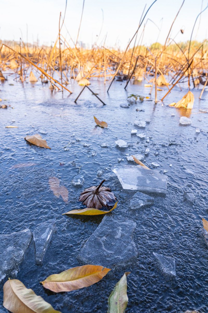 shad_meado1_184's tweet photo. Our world is full of frozen waters that need care—don’t let their beauty fade, heed the call to protect what’s precious. https://t.co/6uqi2fbek1