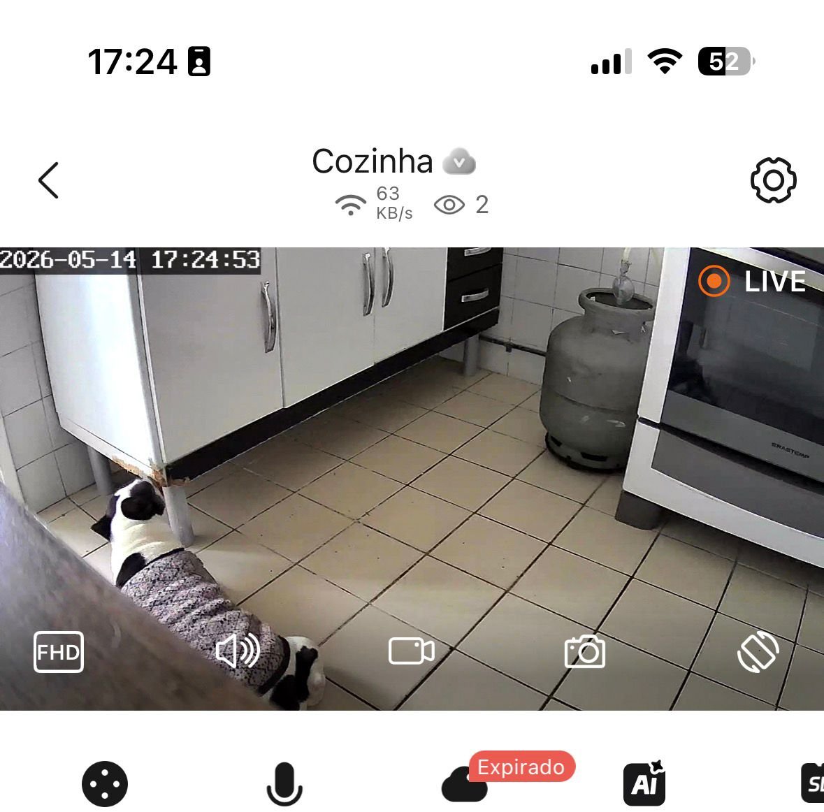 glasshearttp's tweet photo. gosto muito da camera porque me proporciona olivinha moments essa cachorra eh mt estranha https://t.co/CZQhdsw2ES