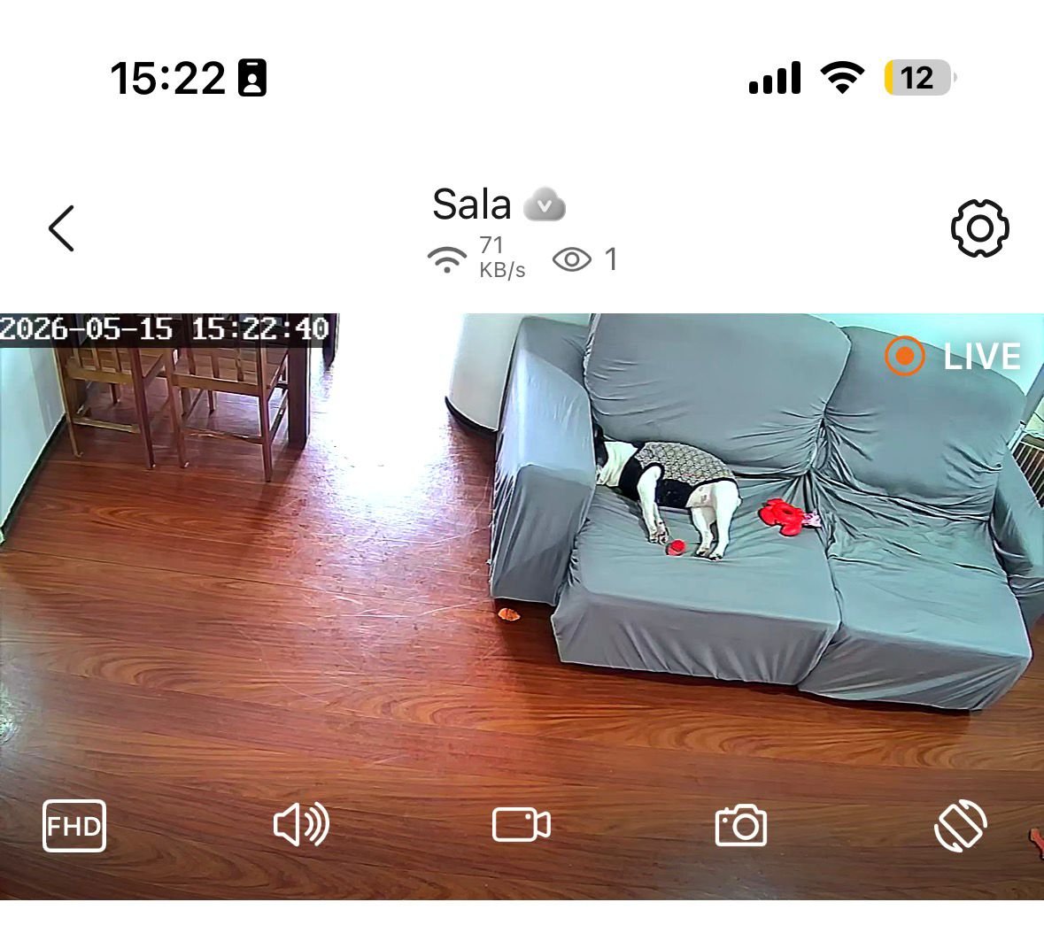 glasshearttp's tweet photo. gosto muito da camera porque me proporciona olivinha moments essa cachorra eh mt estranha https://t.co/CZQhdsw2ES