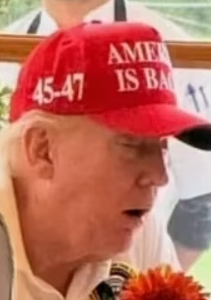Pcday46's tweet photo. @LangmanVince Have you seen yourself and Trump, obese PDFs in the Republican Party https://t.co/g5tQm7pub9