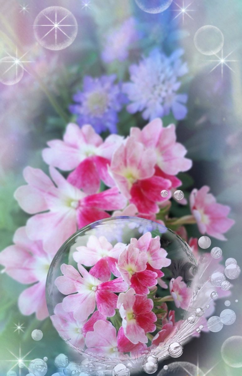 SummerNagi's tweet photo. @shanpo23 今日でX登録14年なんですって
こんな日に抹茶様のお帰りを知るなんて二重に嬉しい１日です😌💓
此れからも何卒良しなにです🍀 https://t.co/C5U8stzZBp