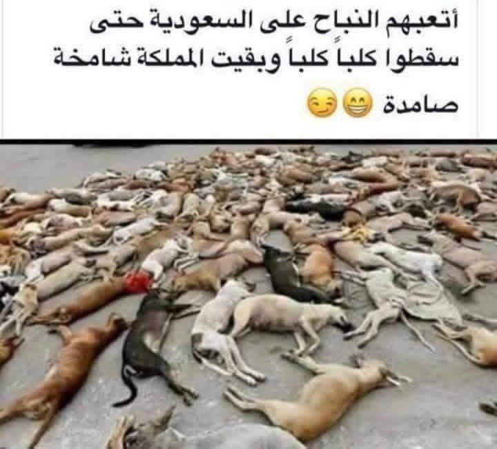 JSOG1377's tweet photo. @alzbiadi2 https://t.co/NvWfKy19wB