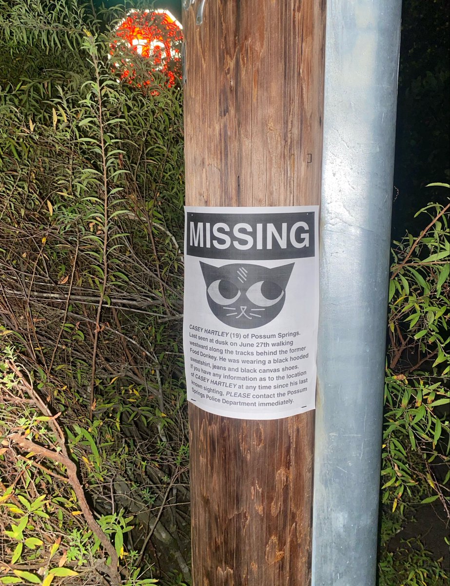 StygianCurses's tweet photo. CASEY HARTLEY (19) of Possum Springs has been missing since June 27, 2017. He is deeply missed.

Happy October everyone 🎃

#nightinthewoods #nitw https://t.co/2RzVcMGlfp