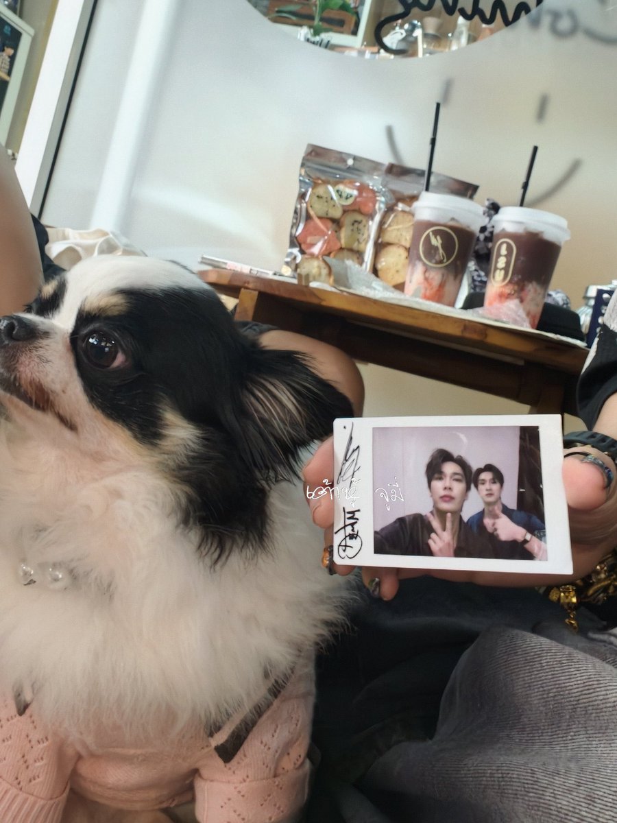 teevithe's tweet photo. omggg renji &amp; dewtee soo cuteee🐶💘 ©JuJunnior96 https://t.co/atp7QxWogT