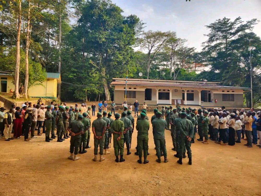 victoirembuto's tweet photo. 🛡️ Un écogarde a été tué dans la nuit du 29 au 30 avril 2026 lors d’une attaque attribuée aux ADF-MTN contre la Réserve de Faune à Okapis, en Ituri.

🌳 L’attaque a ciblé la sous-station Nord-Est de l’aire protégée, à Nduye, dans le territoire de Mambasa.

📰 Mon article 👇 https://t.co/sFIL0J5Pyg