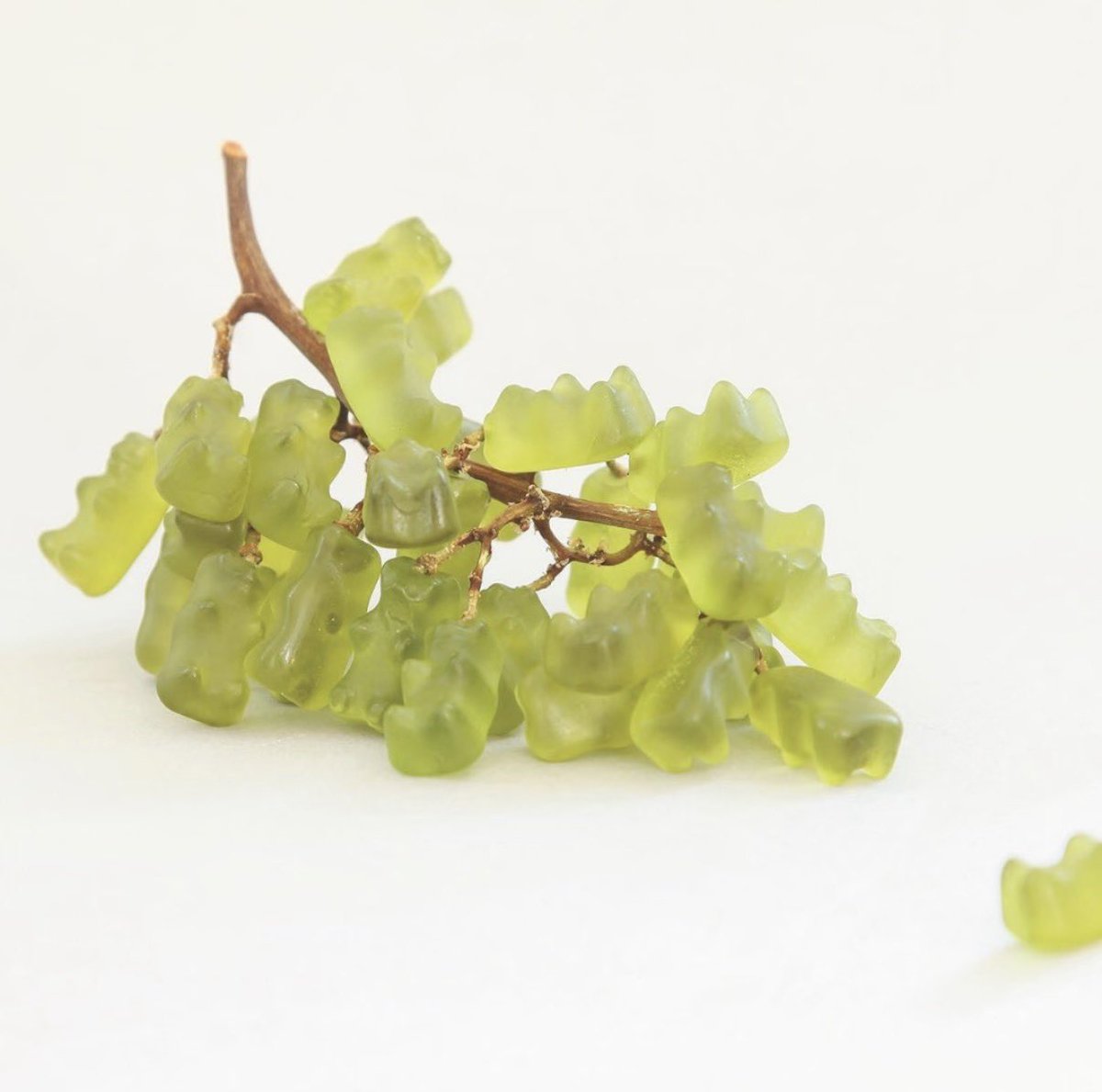 lovely_1days's tweet photo. 🍇cuteee https://t.co/bbGRUb3tyI