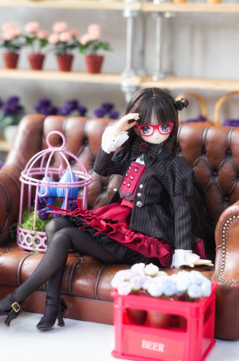 lijidw's tweet photo. #お昼休みに一枚だけドールの写真をはろう https://t.co/KKfRoVPahy