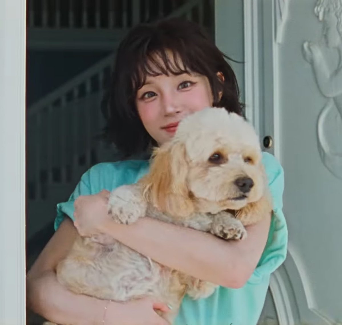 starsonno's tweet photo. just two cute puppies https://t.co/lHKCaOKoYW
