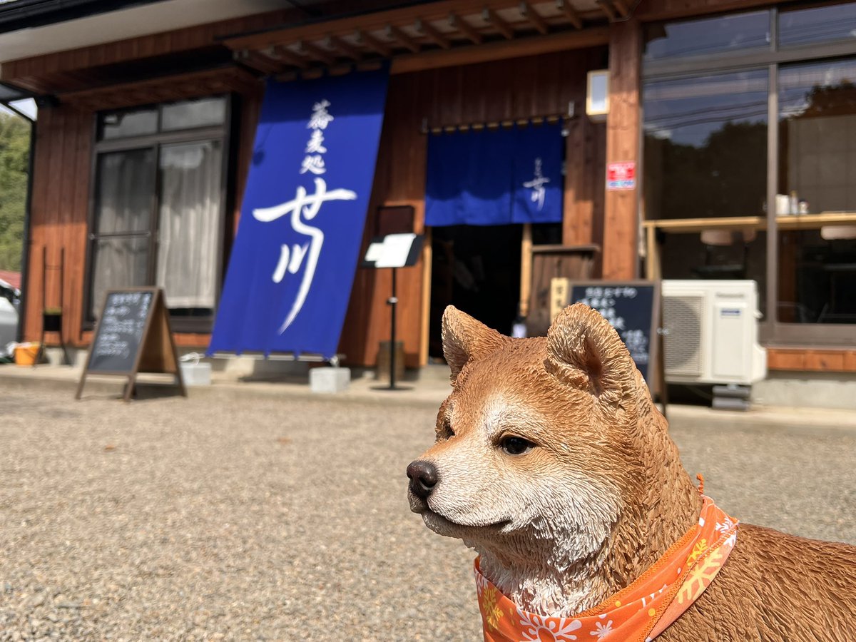 kaisendon1979's tweet photo. ワンちゃんの置物が出迎えてくれました☺️ https://t.co/sylNc7uc4M