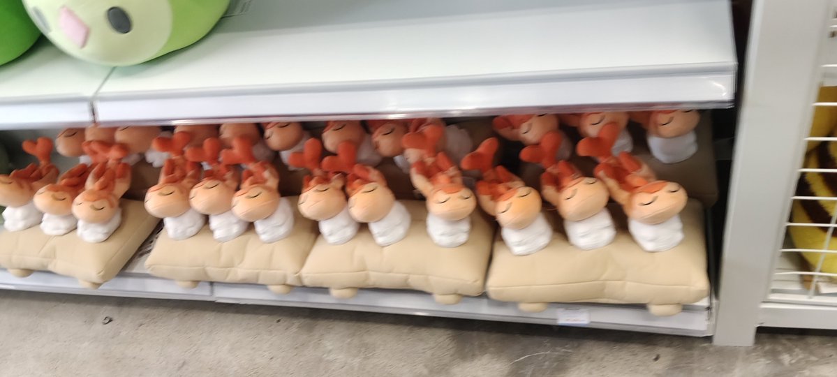 ajolteontrash's tweet photo. For those who are curious, here are some of the plushies in the store https://t.co/T4YZGJlmL5