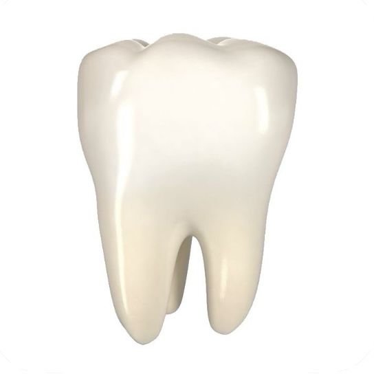 knaarin_'s tweet photo. teeth                                                tooth     

                           TheethToth https://t.co/VxAGwMxhBl