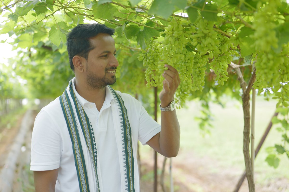 IndianFarmer_'s tweet photo. करंट, सेव्हिंग आणि FD शेतीसाठी हा फॉर्म्युला वापरला तर....

गेली काही वर्ष शेती करताना मला एक गोष्ट प्रकर्षाने जाणवली, ती म्हणजे शेतीचा प्रश्न फक्त पाणी, हवामान किंवा मार्केट रेटचा नाही तर 'पैशाचं मॅनेजमेंट' हा त्याहून मोठा विषय आहे. शेअर मार्केटमध्ये पैसे लावताना आपण रिस्क-रिवॉर्ड बघतो. जर एक रुपया रिस्क घेतली तर त्यातून किती प्रॉफिट मिळू शकतं, नुकसान झालं तर कुठे थांबायचं, हे ठरवतो. पण शेतीत पीक घेताना आपण हे गणित फारसं मांडत नाही.

म्हणून माझ्या मते, शेतकऱ्याने आपल्या शेतीचा पैसा करंट, सेव्हिंग आणि FD अशा तीन भागांत विभागून पाहायला हवा. करंट म्हणजे चालू खर्चासाठी पैसा देणारी पिकं. जसे की, भाजीपाला. पण सगळ्या जमिनीत फक्त भाजीपाला न घेता वेगवेगळी पिकं घेतली, तर एका पिकाचे जरी रेट पडले तरी सगळा पैसा एकाच वेळी अडकत नाही.

सेव्हिंग म्हणजे वर्षातून एकदा पैसा देणारं पीक. द्राक्ष, डाळिंब, पेरू, इतर फळपिकं किंवा ऊस यांसारख्या पिकांचा यात समावेश होऊ शकतो. शिवाय कांदा, सोयाबीनसारखी साठवता येणारी पिकं असतील तर रेट कमी असले तरी माल थांबवून ठेवण्याची संधी मिळते.

आणि FD म्हणजे भविष्यासाठीची शेती. चंदन, मेलिया डुबिया किंवा आपल्या जमिनीला योग्य अशी लाँग टर्म झाडं. यातून लगेच पैसा मिळणार नाही, पण पाच-दहा वर्षांनी त्याचा आधार तयार होऊ शकतो.

याशिवाय मनी मॅनेजमेंट फक्त पिकांचं नाही तर शेतीतून पैसा आला की सगळा पैसा पुन्हा शेतीतच लावायचा नाही. तर काही पैसे इमर्जन्सीसाठी, काही घरासाठी आणि भविष्यासाठी बाजूला ठेवायला हवे. कारण, एखाद्या पिकात नुकसान झालं म्हणून ते भरून काढण्यासाठी पुन्हा त्याच पिकात पैसा टाकत राहणं म्हणजे रिव्हेंज ट्रेडिंगसारखं झालं.

शेवटी, शेतीत प्रत्येक वर्षी प्रॉफिट होईलच असं नाही; पण पैसे आले की ते कुठे गुंतवायचे, किती रिस्क घ्यायची आणि किती पैसे भविष्यासाठी राखून ठेवायचे, हे आपण ठरवू शकतो. त्यामुळे माझ्यासाठी मनी मॅनेजमेंट म्हणजे जास्त पैसे कमवण्यापेक्षा, कमवलेले पैसे चुकीच्या ठिकाणी अडकू नये यासाठी काळजी घेणं आहे.

थोडक्यात, एक पीक फेल गेलं तर शेतकरी पुन्हा पीक घेऊ शकतो; पण पैशाचं नियोजन फेल गेलं तर पुन्हा पीक घेण्याची ताकद कुठून आणणार?

-संतोष जाधव (इंडियन फार्मर)