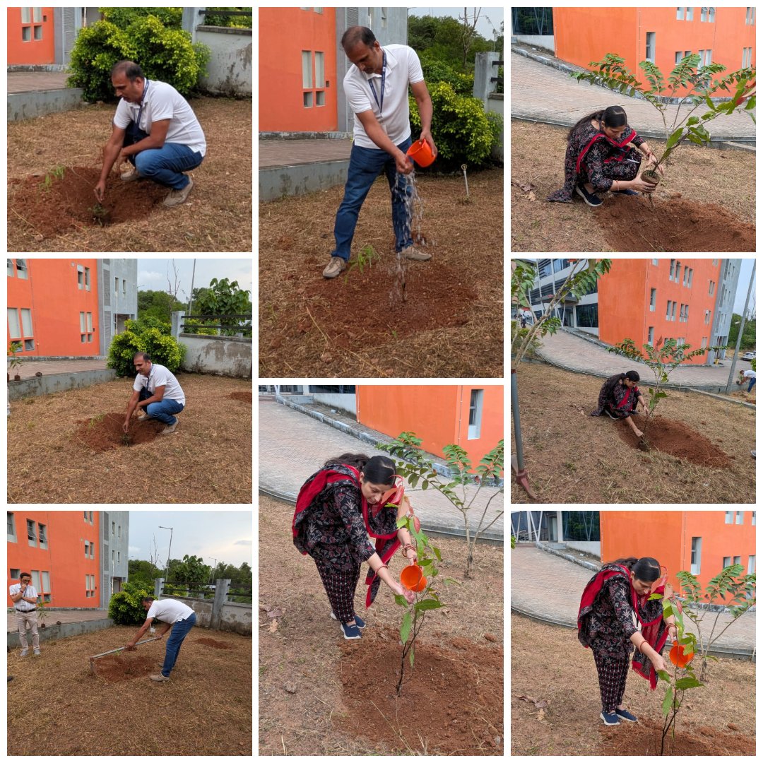 STPI_Kochi's tweet photo. 🌱 As part of Swachh Bharat Diwas, @STPI_Kochi conducted a tree plantation drive under the “Ek Ped Maa Ke Naam” campaign, reaffirming our commitment to a greener, cleaner and healthier environment. 🌿
#SwachhBharatDiwas #EkPedMaaKeNaam #TreePlantation #STPIINIDA https://t.co/X7AglYuAVL