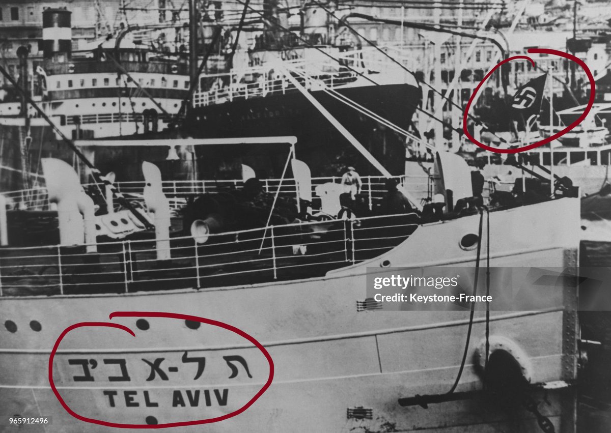 bleaksongs's tweet photo. @elie1757 jews invade and spread like a virus. Just facts. https://t.co/ervYHMblyg