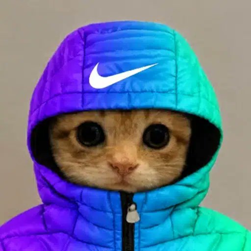 Tuffdevonchain's tweet photo. the entire has meta has been Paid tech coins yet we literally trade

"memecoins"not tech coins in a world of tek 

we will have a meme runner.

$TEK Tekfleece 

dex at 20k https://t.co/i4MZLNQySu