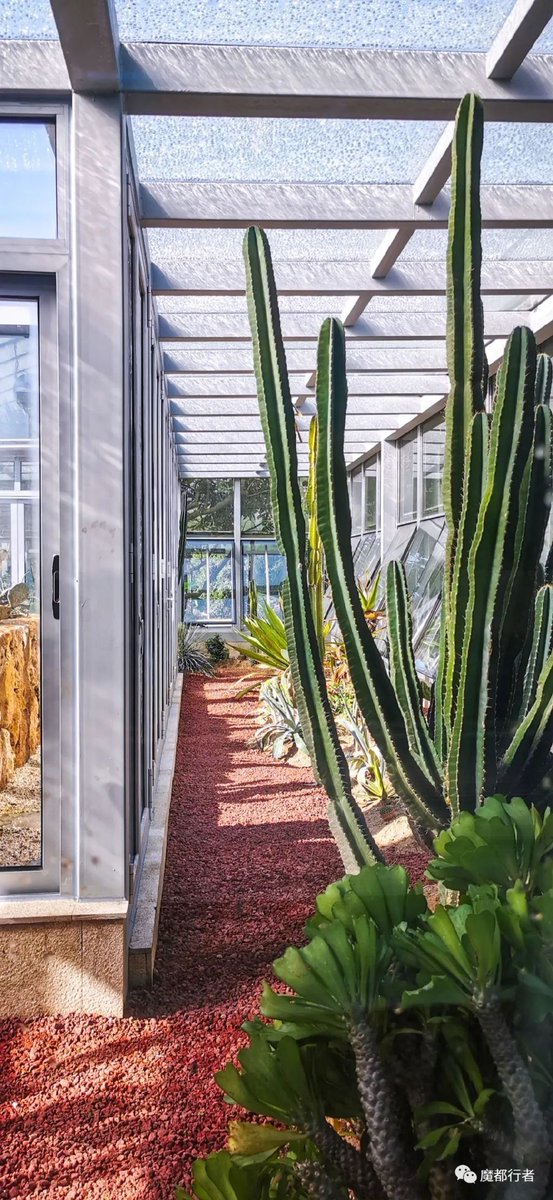 edwar_appl__9e2's tweet photo. [This autumn, I came to the Benxieluo green house, where every plant is growing with warmth!] https://t.co/WvIAezqxud