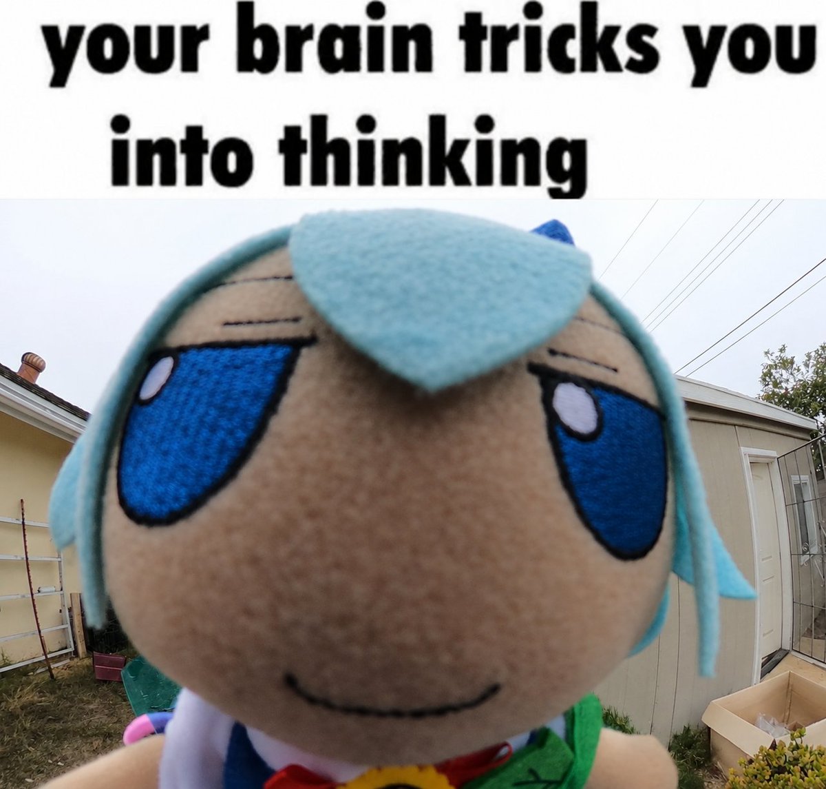 BunnyCunny271k's tweet photo. https://t.co/zDmQcAIRGY