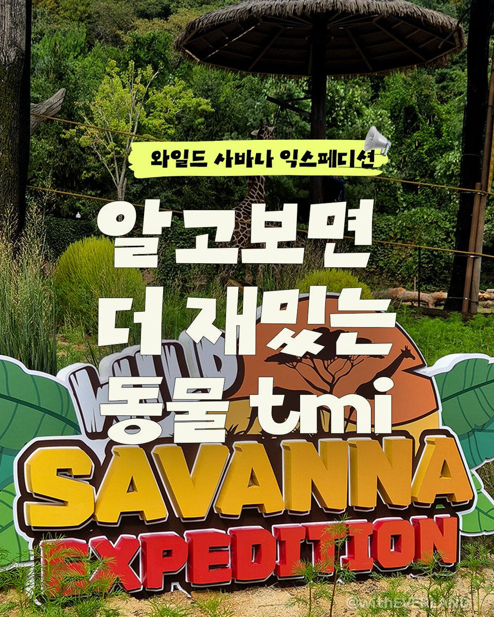 withEverland tweet picture