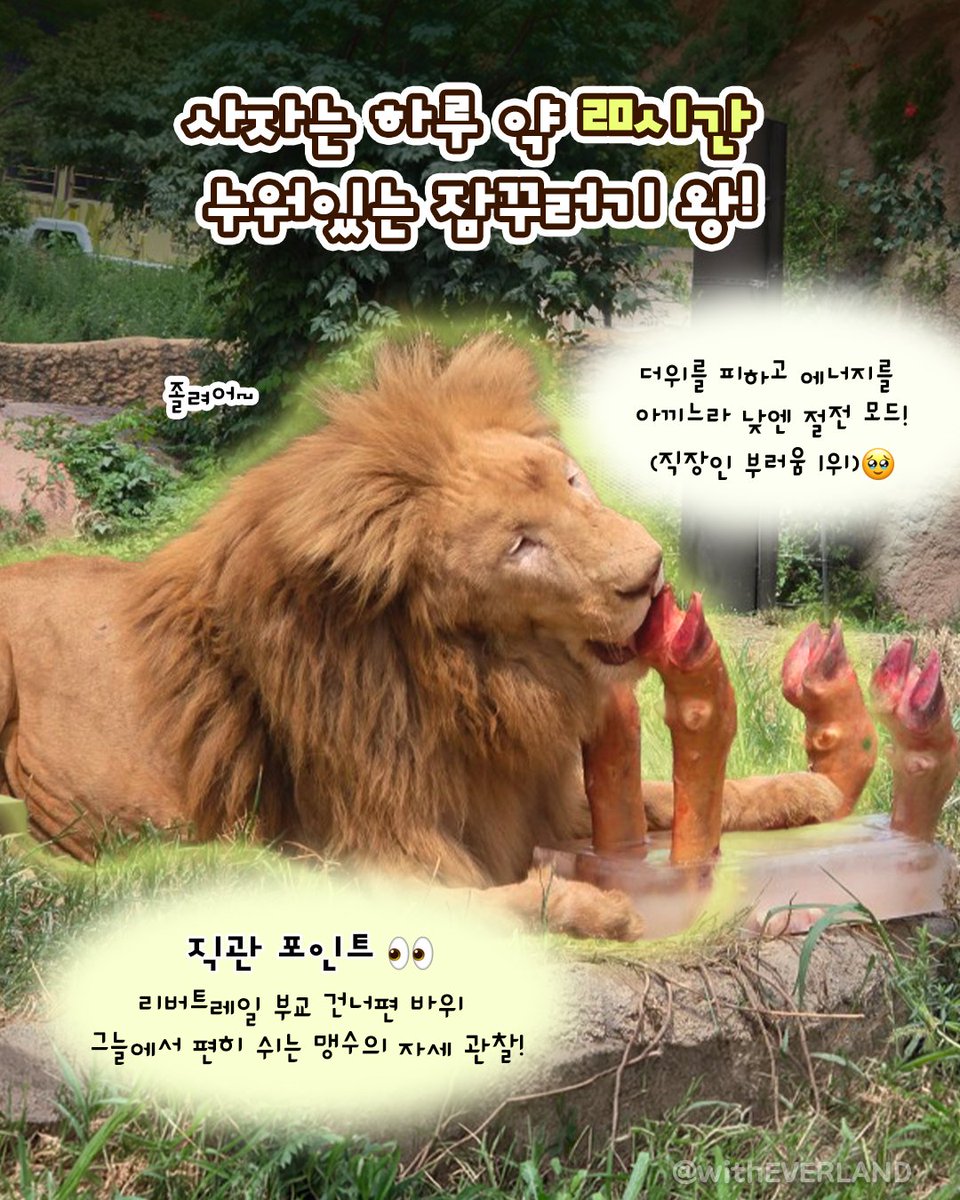withEverland tweet picture