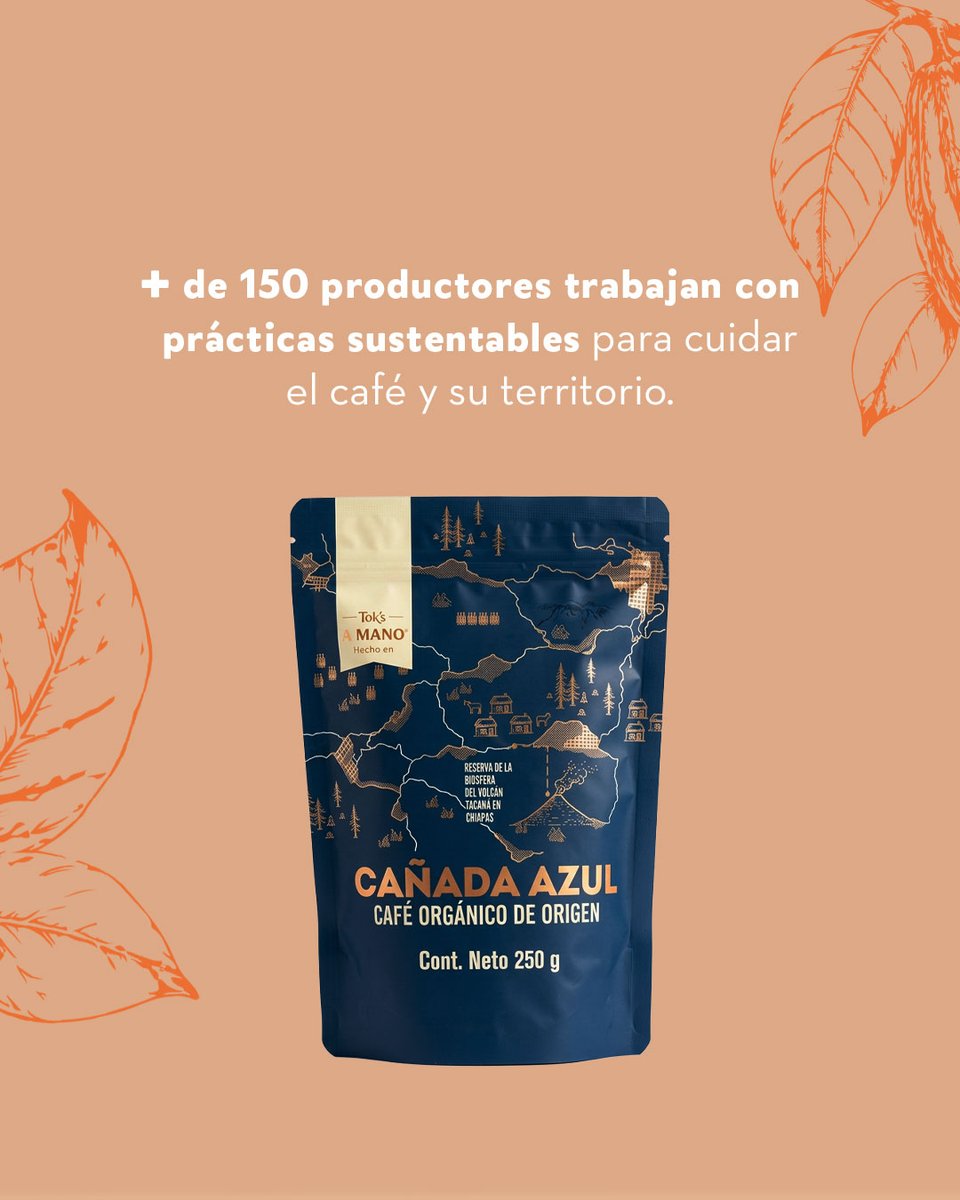 ToksMx's tweet photo. Con este dato, cada sorbo será en nombre de todas esas personas que con su trabajo en la tierra, mantienen viva una tradición, incentivan el comercio justo y sustentable. ☕🤩 ¿Te esperamos para compartir un cafecito?​

Feliz #DiaDelCafé https://t.co/NBOxYeInCa