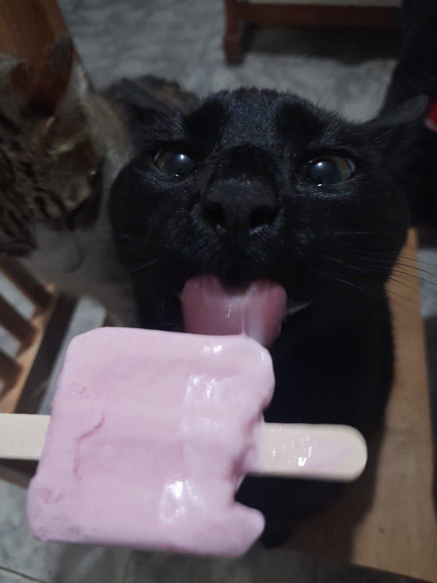 blackscats's tweet photo. https://t.co/nyVzzPcpne