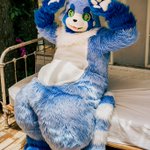 Photo by 潔波/Zepo/ゼポ👉ケモコン👉福岡 (@bluezepo)