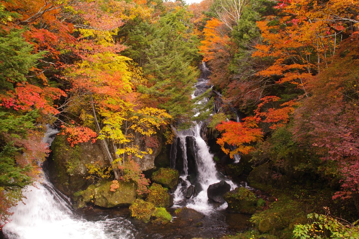 TochigikenD's tweet photo. こちらは過去に撮影した奥日光の紅葉風景です📸✨
湯の湖の湖面を彩る秋色、そして竜頭の滝を包み込む鮮やかな紅葉。奥日光が一年で最も華やぐ季節が近づいています🍂
今年も紅葉の便りが待ち遠しいですね！ 奥日光へのお出かけは日光道で🚗💨
#もうすぐ紅葉 #日光道 #奥日光 #湯の湖 #竜頭の滝 #紅葉 https://t.co/HSsQWN6efn