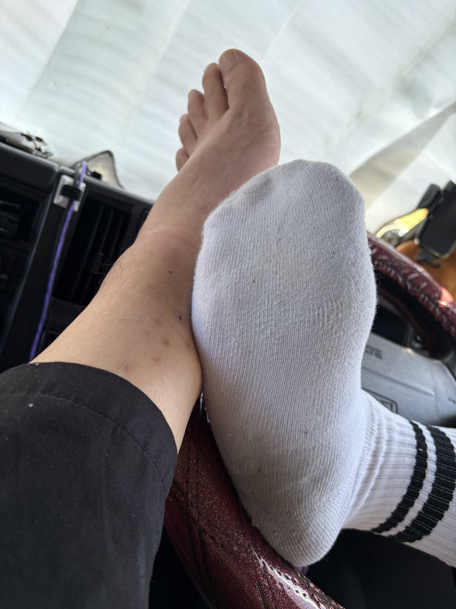 Aahi_Suki's tweet photo. 今日も、安定の臭い靴下&amp;足裏🤢
#ゲイ　＃臭い　＃足裏　#靴下　＃素足 https://t.co/8qn7S6vLFC