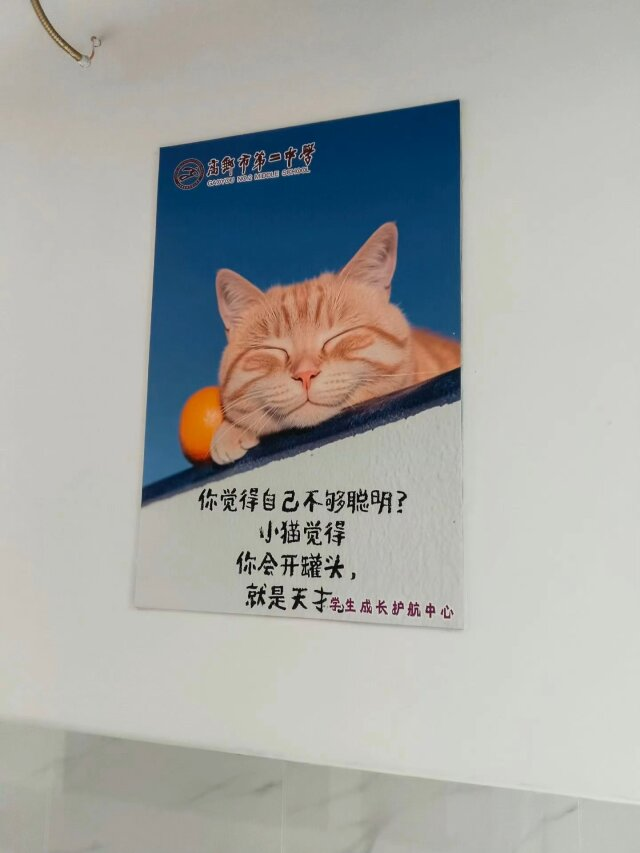 Poca2381's tweet photo. 最喜欢学校里这句话了 https://t.co/bqdfG5uaWw