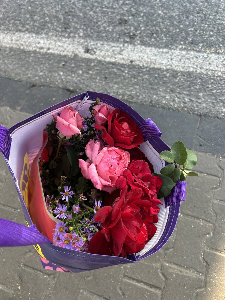 Cerronimuu's tweet photo. Bugün çiçeklerini poşete tıkıştırmış gezen bir kız görürseniz o benim https://t.co/FvPWfRyyXF