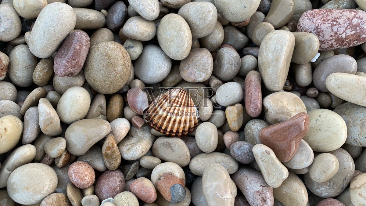 Shellaocta3's tweet photo. [I seek a rare shell embedded in the standing crag—this is the beauty I chase.]， https://t.co/Zz5Xcj4NEn
