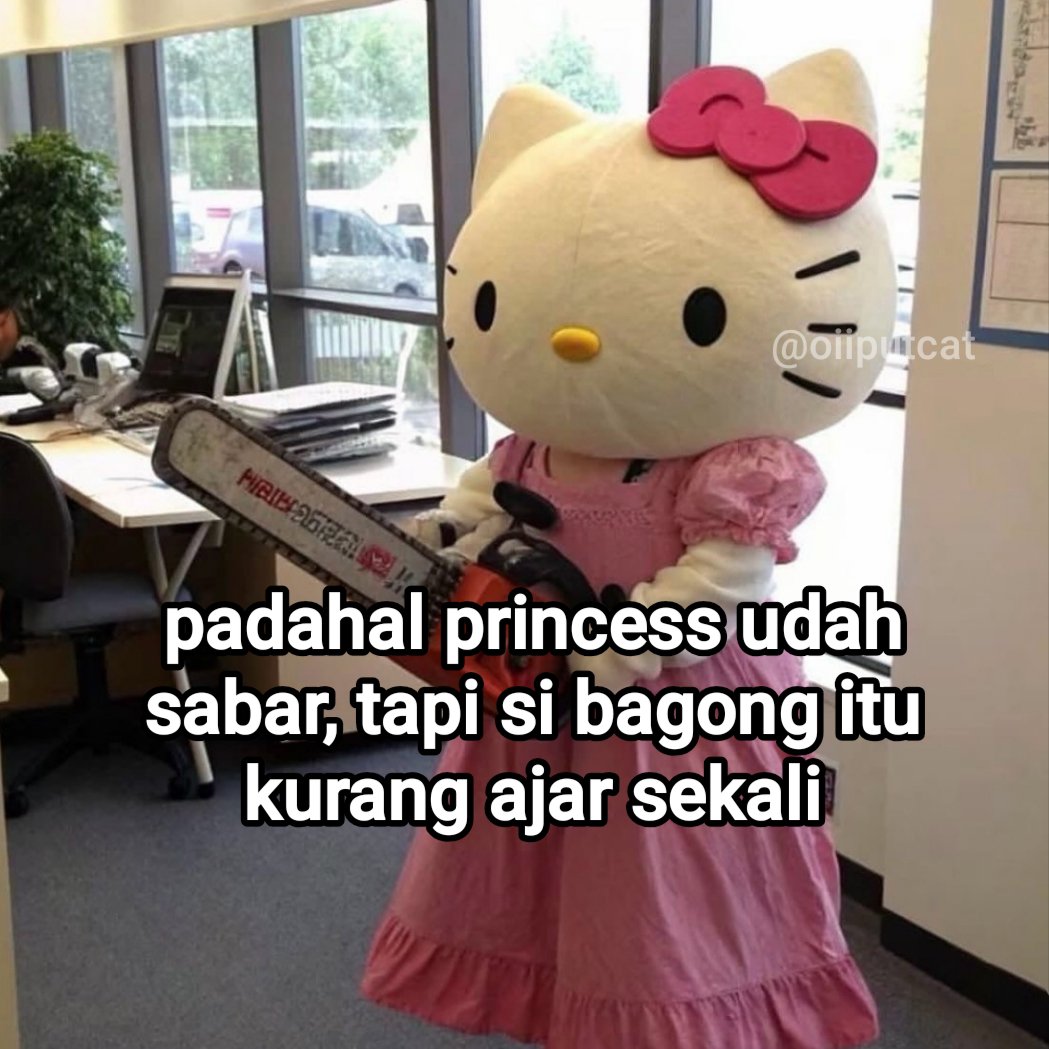 oiiputcat's tweet photo. huftt https://t.co/7qYYmkm5MX