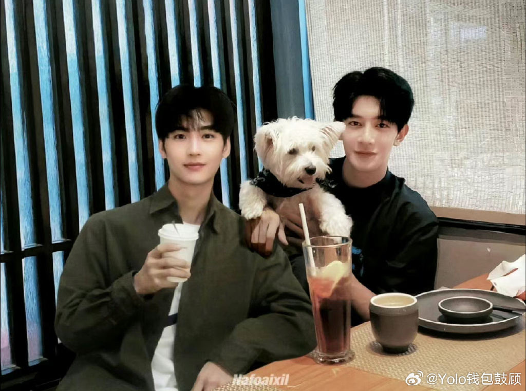 jacob_aura__ae1's tweet photo. Ren Po, Mi Lan u0026 Pan's sweet vibe hits different! Pure charm overload ， https://t.co/41hlI9ed6S