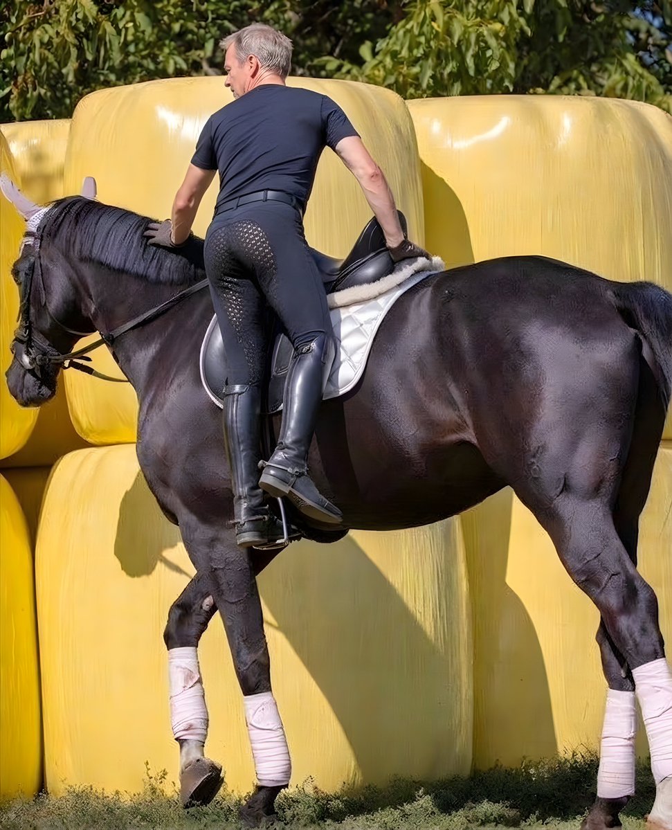 OwnedOnFile's tweet photo. Jacket on, grey underneath, barefoot. Then on my knees in white shorts. Tongue out because I was told. The horse gets the grip seat. I do not. Uncensored: https://t.co/Uq74ceQqs1
#owned #breeches #exposed https://t.co/NDh6ivM0av