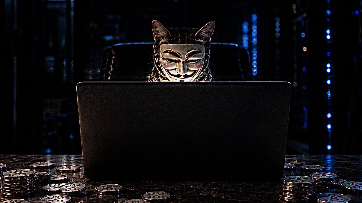 VCATBASE tweet picture