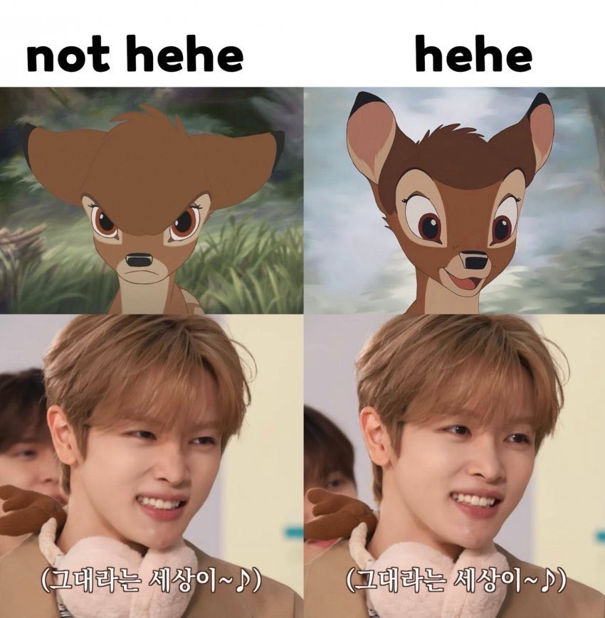 onlyuu0913's tweet photo. 이쁜 숑🧡 https://t.co/bdzcwaf0rn