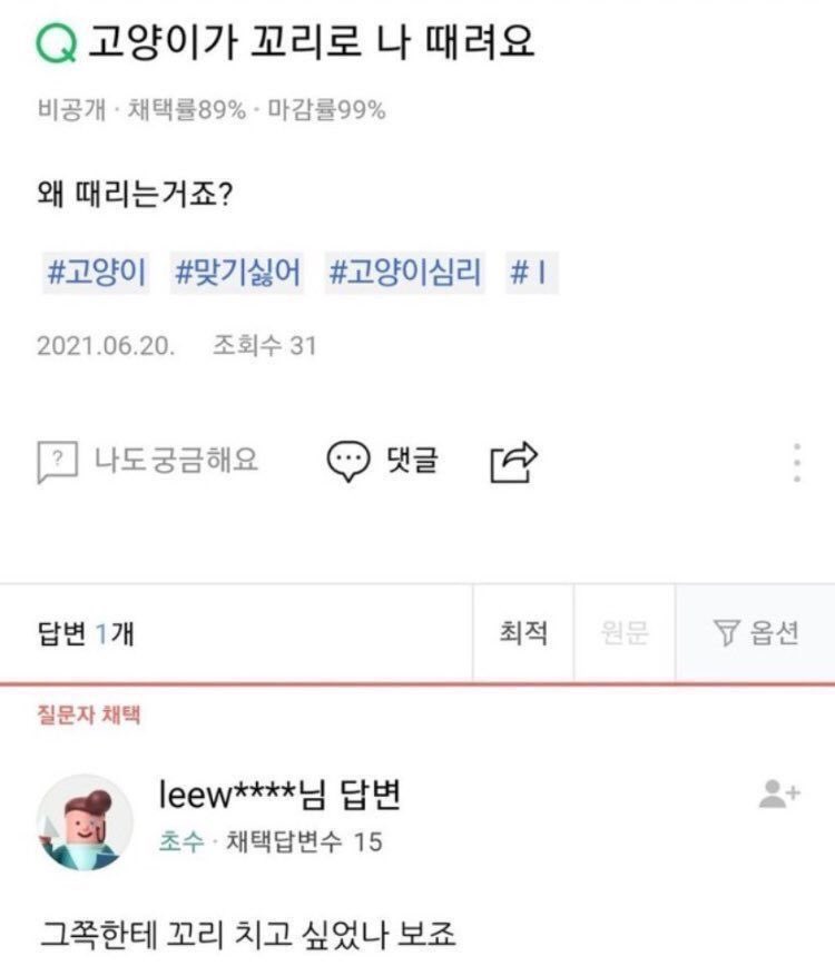 Dosinc0in's tweet photo. 신냥이가 도멍이 때림 https://t.co/bmCML6ayog