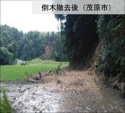 ModJapan_saigai's tweet photo. 千葉県長生郡長柄町における行方不明者の捜索は９日目となりました。本日も陸自高射学校（下志津・千葉）の隊員が消防・警察など関係機関と力を合わせ、一刻も早い発見に向け、懸命に捜索を続けています。
また、陸自第１空挺団（習志野・千葉）は、県内の７つの市１１か所で、重機が入れない道路の倒木を撤去しました。現時点で、自衛隊へ倒木撤去の要請のあった全ての地域で、倒木の撤去作業は終了しています。倒木撤去後の状況は写真をご覧ください。
引き続き、消防や警察をはじめ関係機関と協力し、千葉県での人命救助活動に全力を尽くしてまいります。