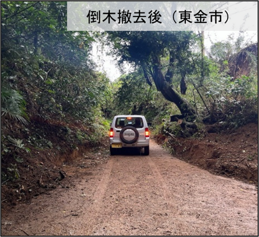 ModJapan_saigai's tweet photo. 千葉県長生郡長柄町における行方不明者の捜索は９日目となりました。本日も陸自高射学校（下志津・千葉）の隊員が消防・警察など関係機関と力を合わせ、一刻も早い発見に向け、懸命に捜索を続けています。
また、陸自第１空挺団（習志野・千葉）は、県内の７つの市１１か所で、重機が入れない道路の倒木を撤去しました。現時点で、自衛隊へ倒木撤去の要請のあった全ての地域で、倒木の撤去作業は終了しています。倒木撤去後の状況は写真をご覧ください。
引き続き、消防や警察をはじめ関係機関と協力し、千葉県での人命救助活動に全力を尽くしてまいります。