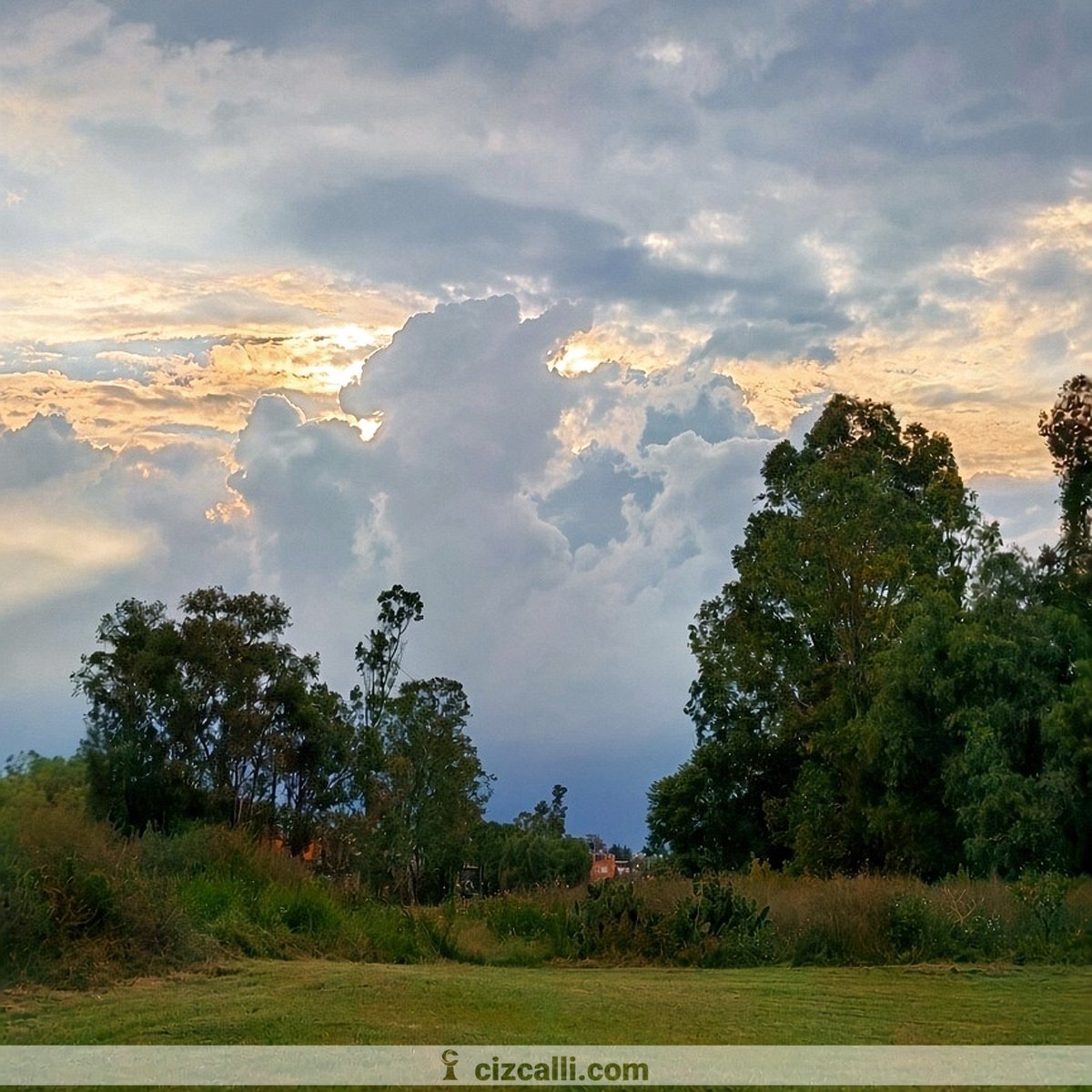 izcallicom's tweet photo. Oct 01, 2026 | Cuautitlán Izcalli | FOTO DEL DIA
Esta tarde desde Jardines del Alba.
#Izcalli #Atardecer #Paisaje #FotoDelDia https://t.co/61ILTH1b7a