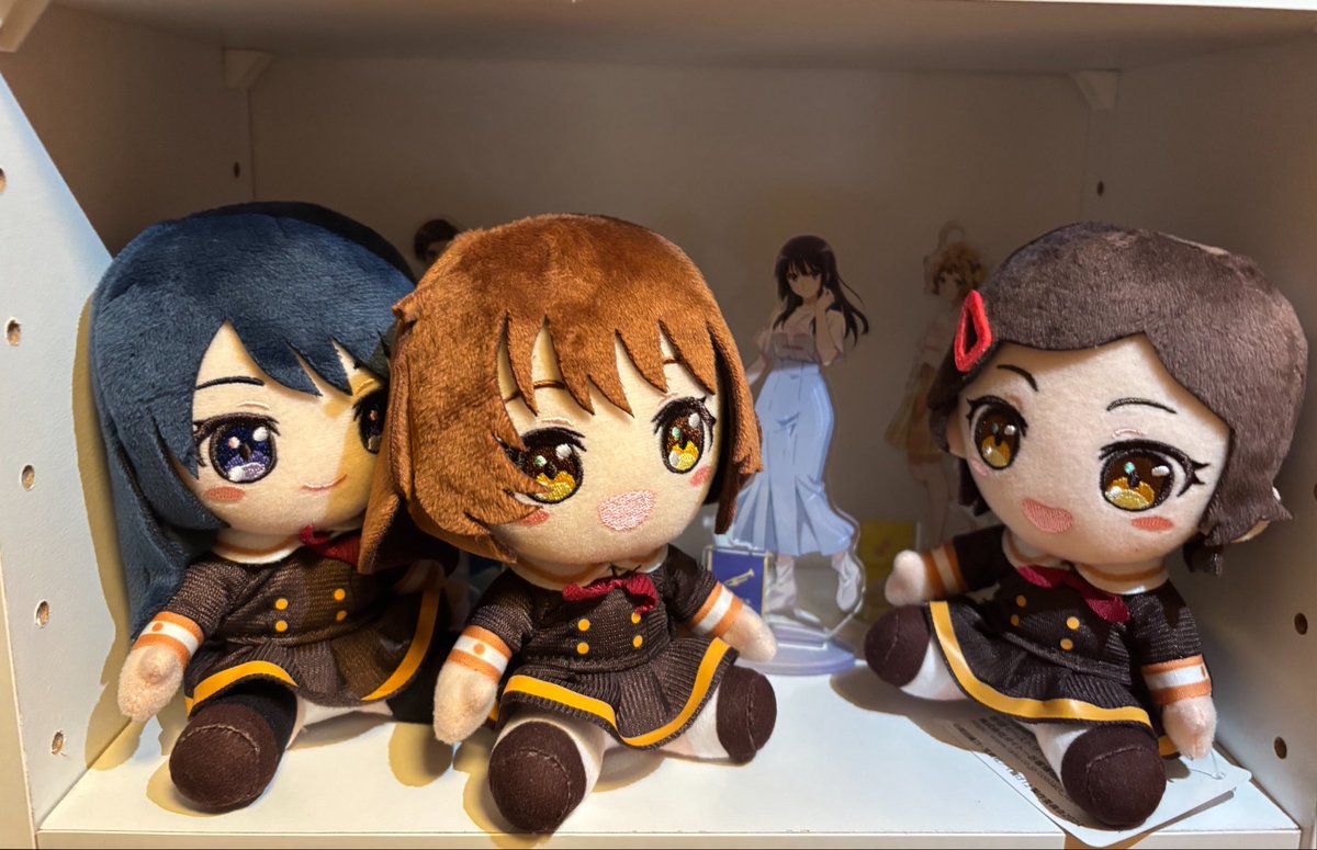 qaEdCI9qPa69790's tweet photo. 葉月ちゃんをお迎えしました！🥰
#ユーフォ最終楽章 https://t.co/hXRkCWqlUQ