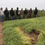 Photo by Grassroots Agronomy (@grassrootsag)