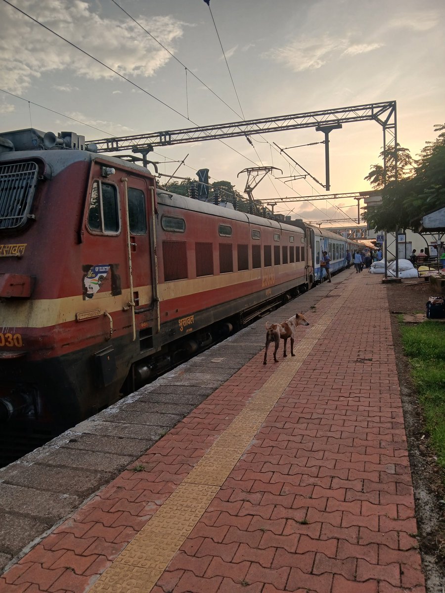 DShingan's tweet photo. 10103 : आजही मुंबई मडगाव मांडवी एक्सप्रेस दोन तासांपेक्षा अधिक रखडली
#konkanrailway #indianrailways🚂 #drmcentralrailway
               https://t.co/uXNKupjIUI https://t.co/Q1DNa5oevo