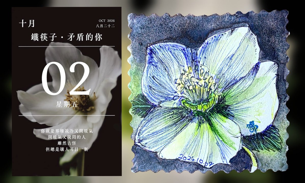 adder915a's tweet photo. 今日花語曆
2026年10月02日
​【鐵筷子】（Helleborus）是毛茛科鐵筷子屬的多年生草本植物，英文常被稱為 Christmas Rose（聖誕玫瑰） 或 Lenten Rose（大齋期玫瑰）。
💐花語：雪地裡撫平傷痛的希望，帶著警示卻深情的冬日懷念。
尺寸：8cm×8cm
https://t.co/0e2XvF2HWS https://t.co/kemvb8AKVw