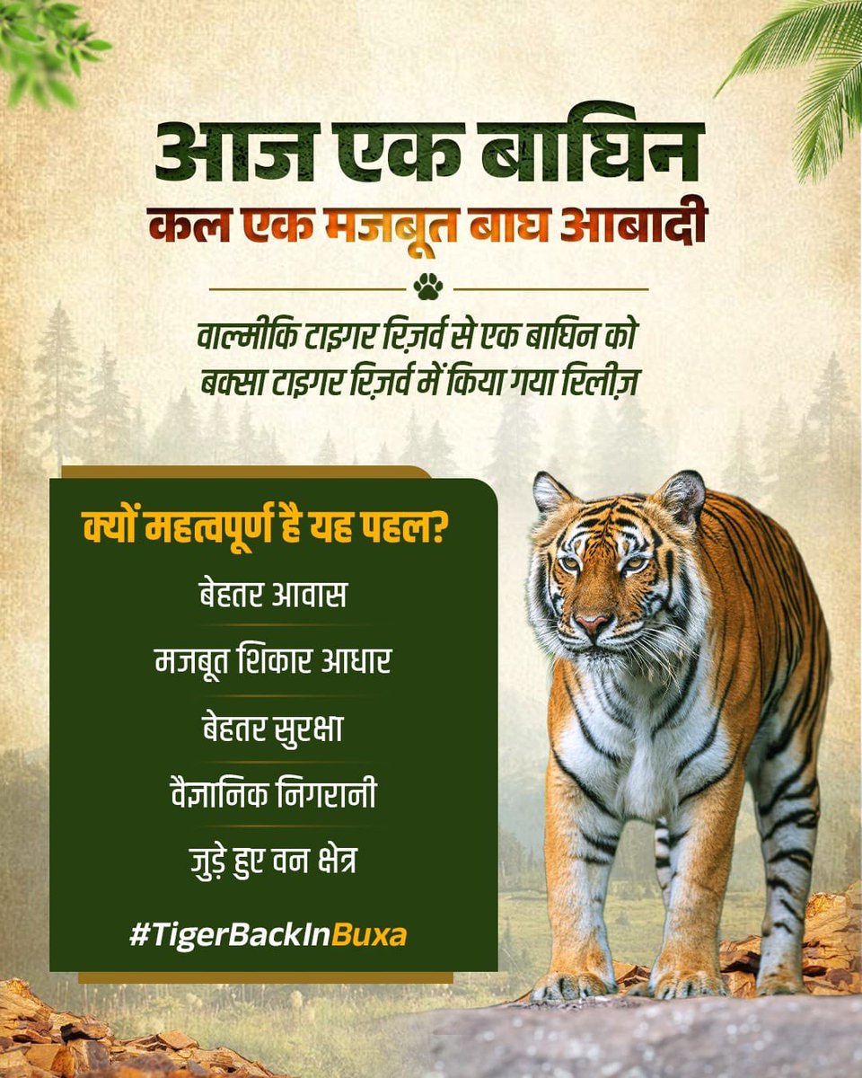 BjpNew8178's tweet photo. #TigerBackInBuxa https://t.co/pjr66XgXlI