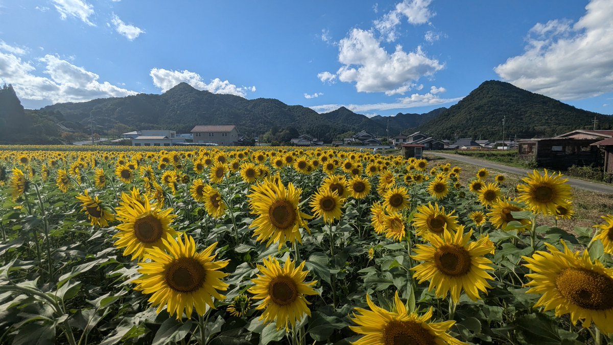crt004's tweet photo. ラッタッタ〜！ https://t.co/F3CnOP7ESu