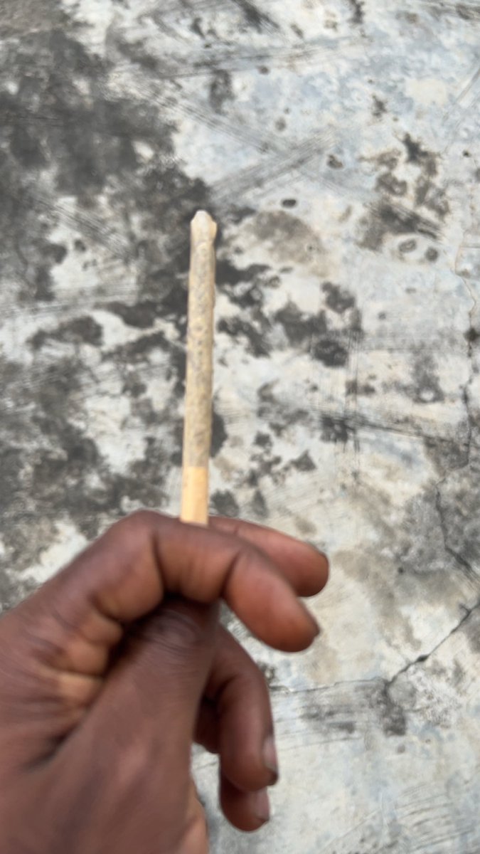 WasiuWinter's tweet photo. Lowkey, nicotine addiction is real, can’t even smoke without using wood on rizz anymore 😭🍃 https://t.co/GgzD11vGG0