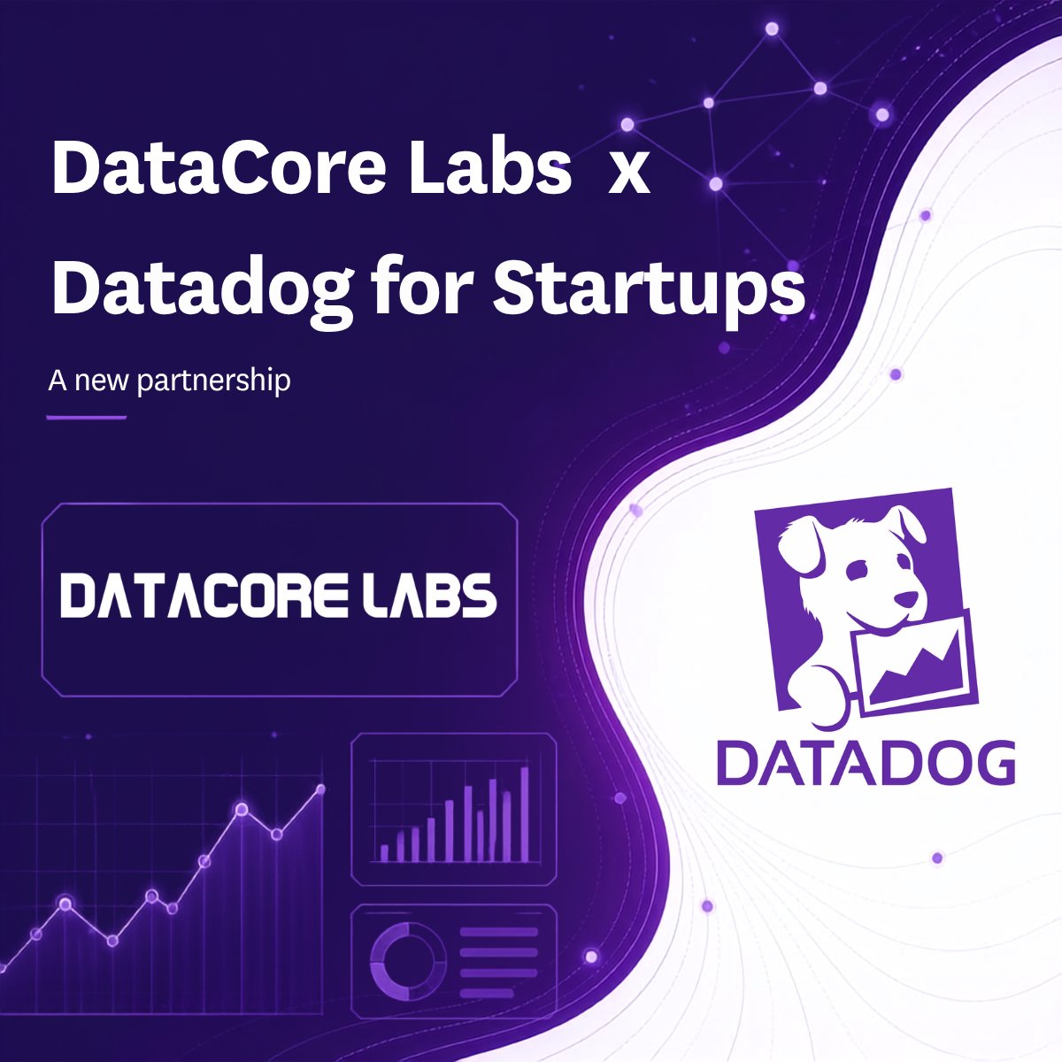 DataCoreLabsAI tweet picture