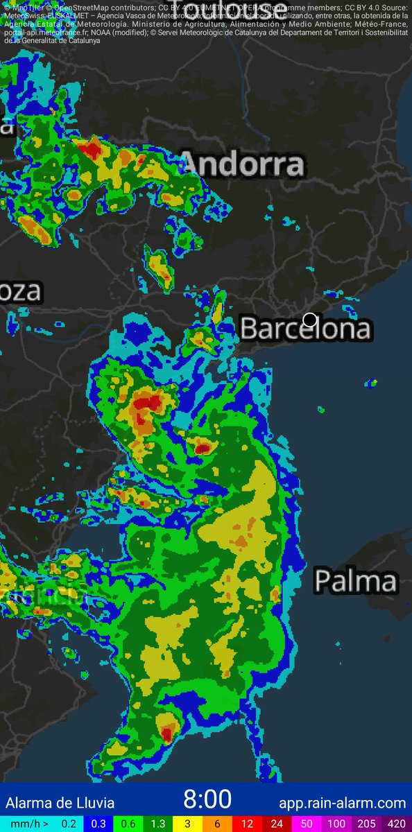 David9dsb's tweet photo. Lluvia - 8:00 https://t.co/f3TqmJ6R4x